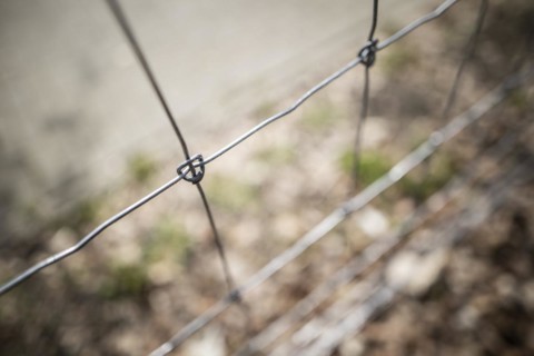 Protective fence against the spread of African swine fever