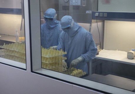 Production of vaccine