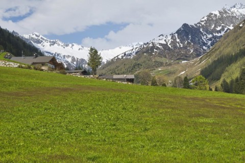 Snowy Krimmler Tauern and Zillertal Alps