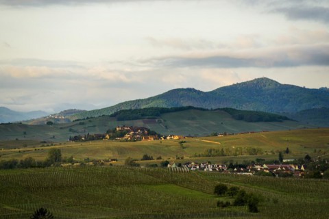 Medieval village in the vineyards