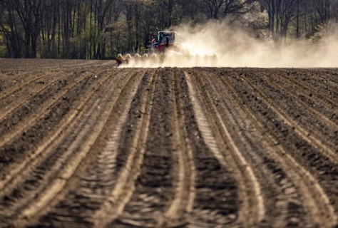 Maize sowing precision drill Vaederstad Tempo