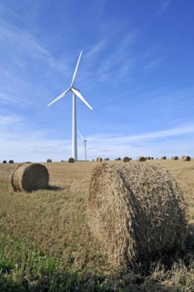 Wind turbines in mowed field with hay bales
