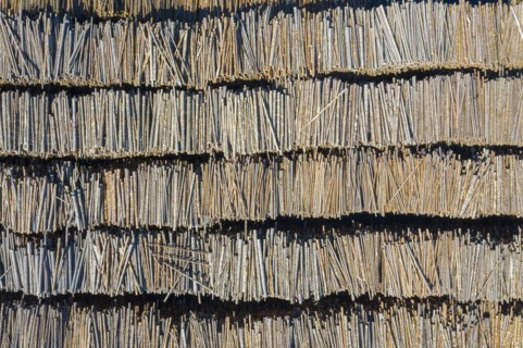 Aerial view over stacked tree trunks