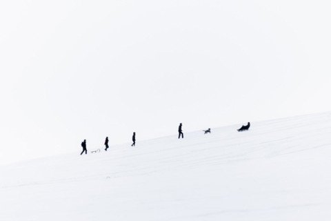 People on a toboggan slope in Koenigshain