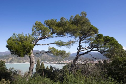 Sestri Levante