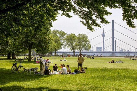 Picnic