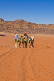 Bedouins with camels in desert
