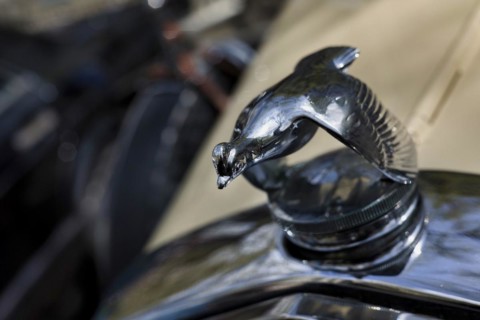 A quail as a radiator mascot on a Ford Model A
