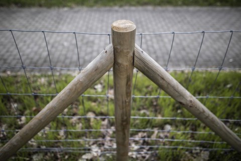 Protective fence against the spread of African swine fever