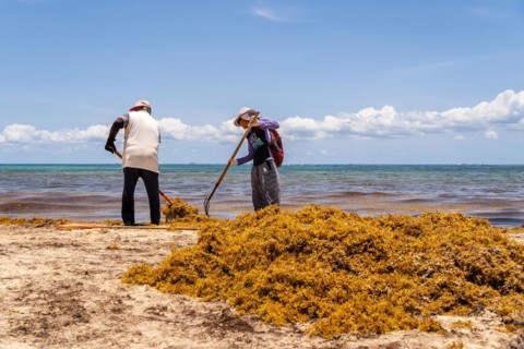 Workers cleaning