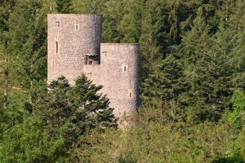 The medieval Spornburg Frauenburg in the Birkenfeld district in the morning light