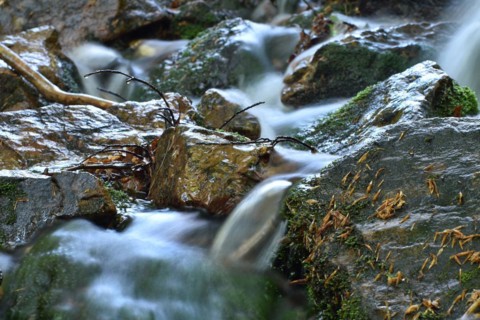 The Traunbach stream flowing over rock in the Hunsrück-Hochwald National Park