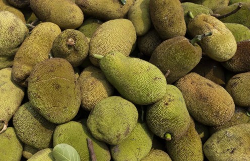 Pile of jackfruit displayed for sell in a market in India