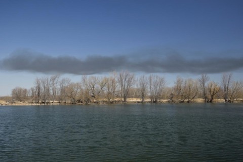 Riverscape in Spring