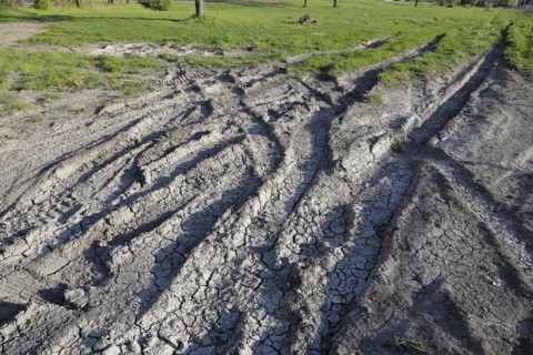 Tire prints in dried mud