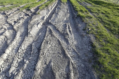Tire prints in dried mud