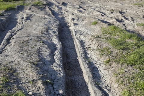 Tire prints in dried mud