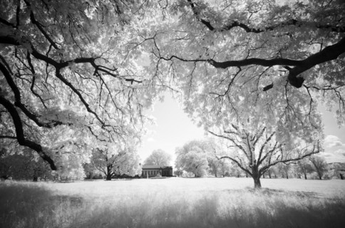 Infrared image