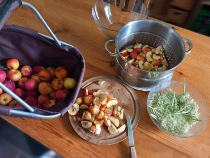 Sliced apples for preparation for apple jelly