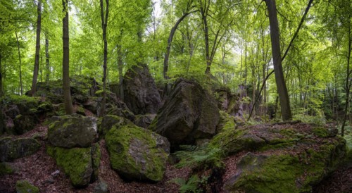Felsenmeer in Hemer