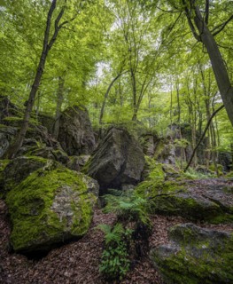 Felsenmeer in Hemer