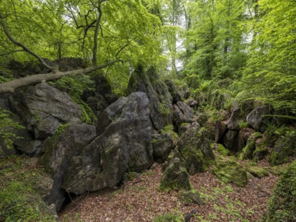 Felsenmeer in Hemer