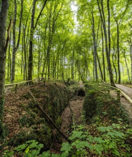 Felsenmeer in Hemer