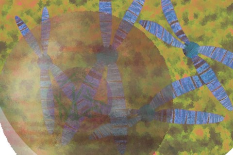 Cell with chromosomes In the chromosome lies everything important for the cells and run the metabolism