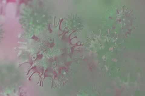Viruses can make people sick like hepatitis or aids