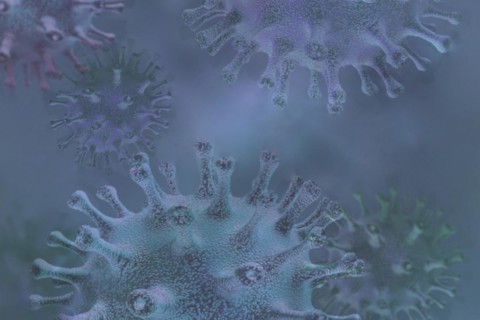 Viruses can make people sick like hepatitis or aids