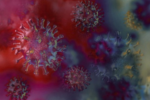 Viruses can make people sick like hepatitis or aids
