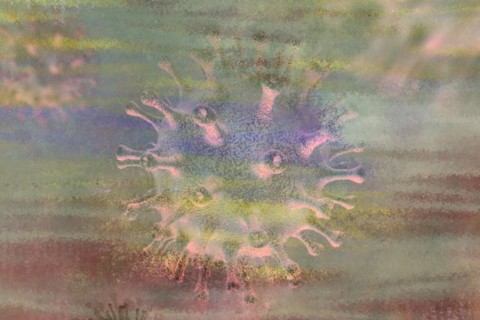 Viruses can make people sick like hepatitis or aids