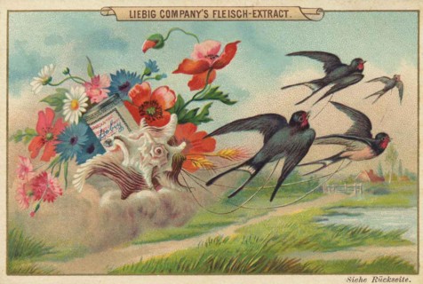 Shell with field flowers and swallows