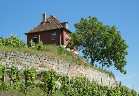 Etching house at the Max-Klinger vineyard