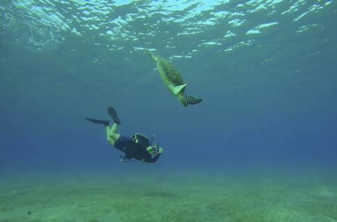 Scubadiver filming Sea Turtle swims down to seabed
