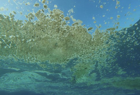 An oily fatty layer of garbage slowly drifts on surface of sea