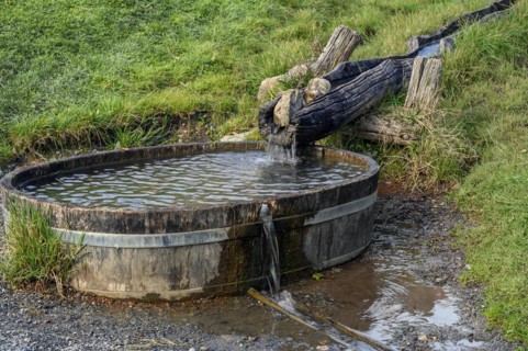 Wooden water pipe with wooden sheep