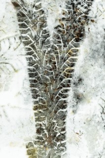 Tire tracks on the snow