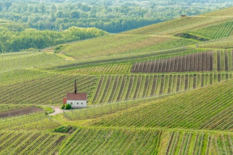 Eichert Chapel in the vineyard in spring