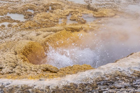 Pump Geyser