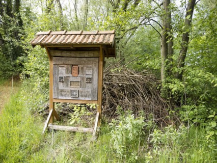 Wild bee hotel at the edge of the forest