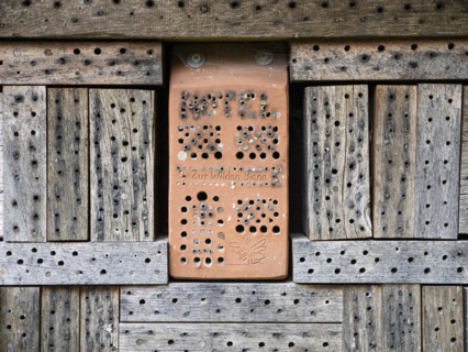 Wild bee nesting sites