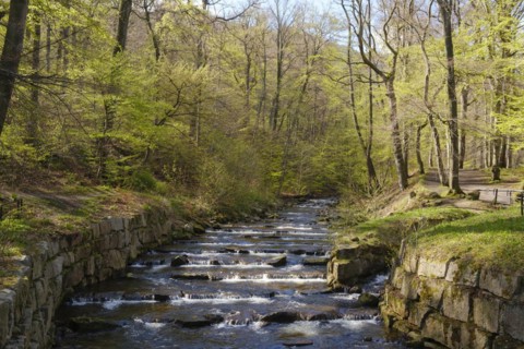 River Ilse