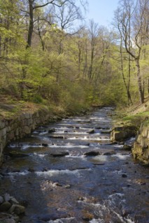 River Ilse