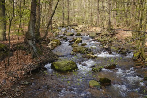 River Ilse