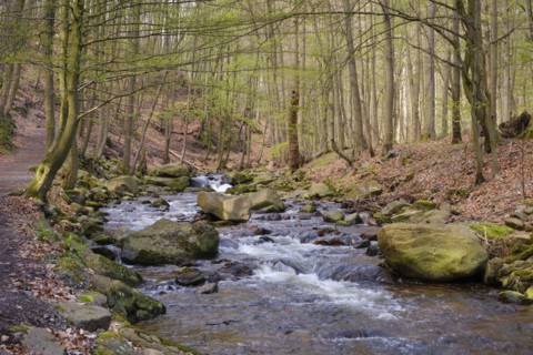 River Ilse