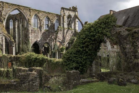 Ruins of the former abbey of Aulne