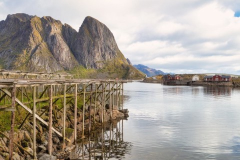 Drying racks for fish and traditional red rorbuer huts in the fishing village of Reine
