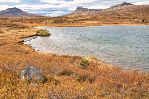 Autumn landscape