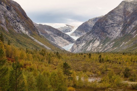 Nigardsbreen Glacier